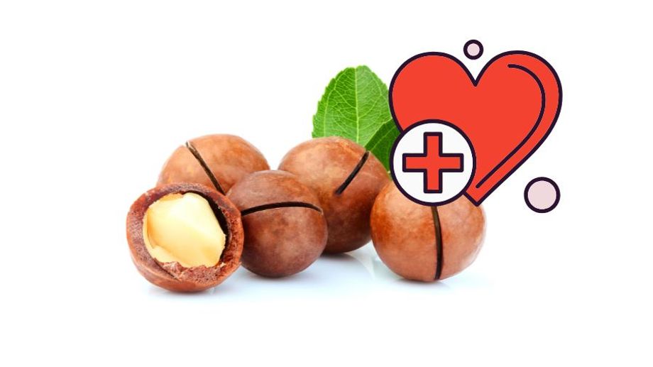 Are macadamia nuts (fruits) good? Nutritional composition of macadamia nuts