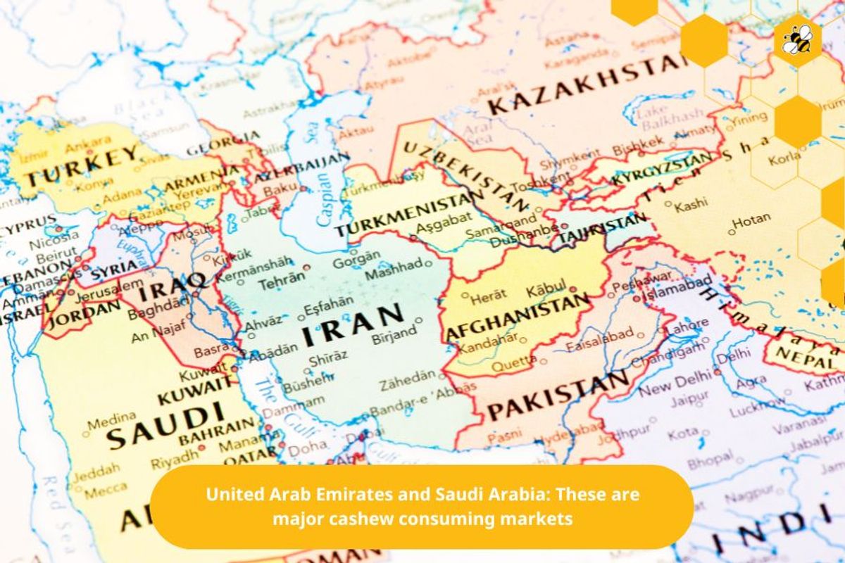 United Arab Emirates and Saudi Arabia: These are major cashew consuming markets