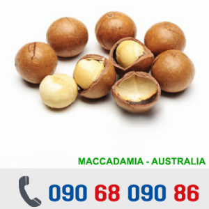 MACADAMIA NUTS