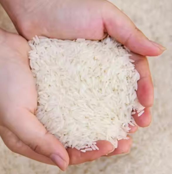 Premium Rice Jasmine Rice Packing 1kg 5kg 10kg 20kg Long Grain White Rice 5% Wholesale in Vietnam/riz Au Jasmin OEM ServiceWA