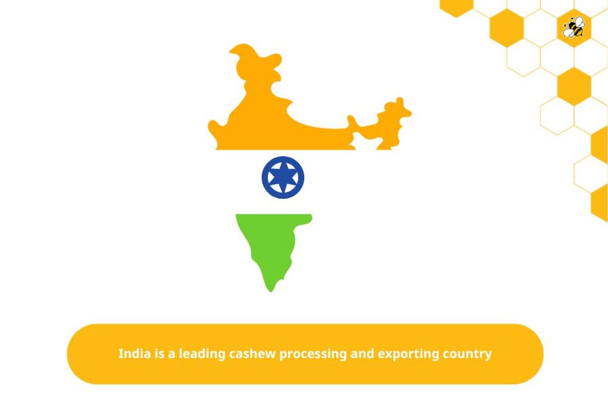 India is a leading cashew processing and exporting country