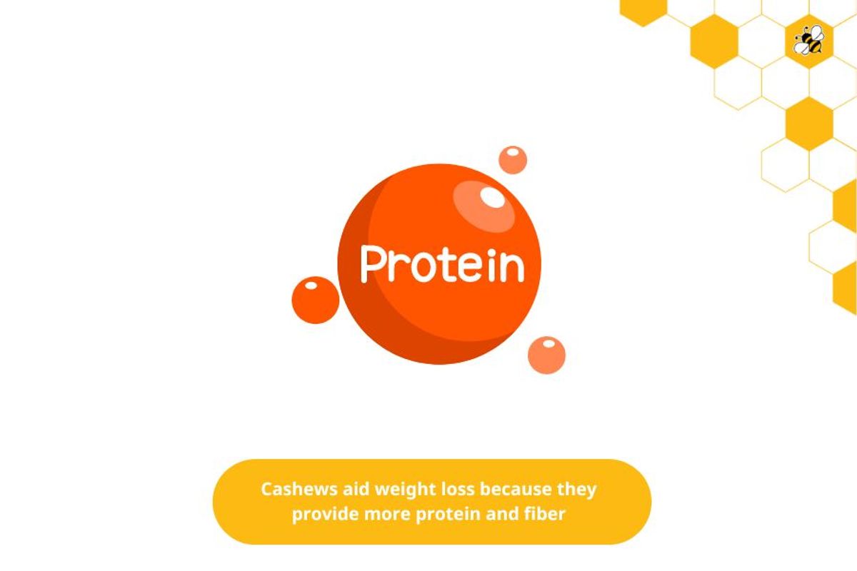 Cashews aid weight loss because they provide more protein and fiber