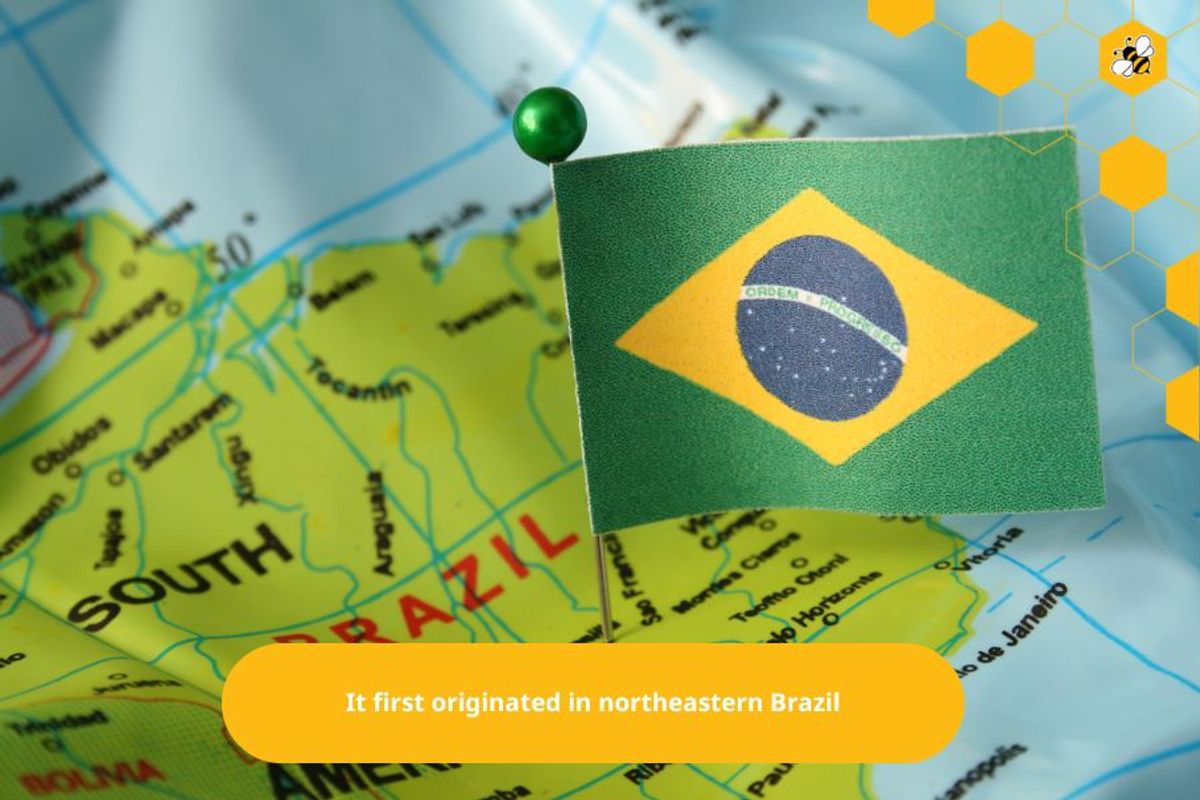 It first originated in northeastern Brazil