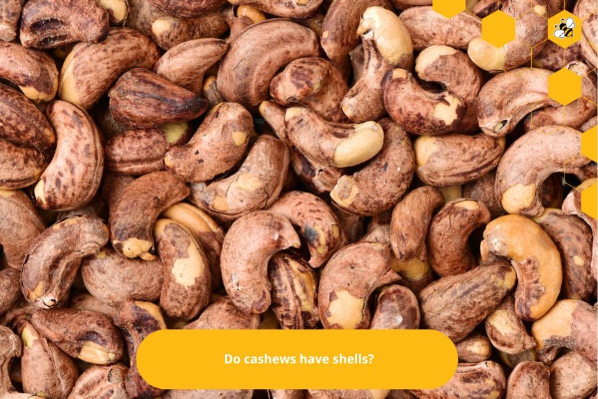 Do cashews have shells?