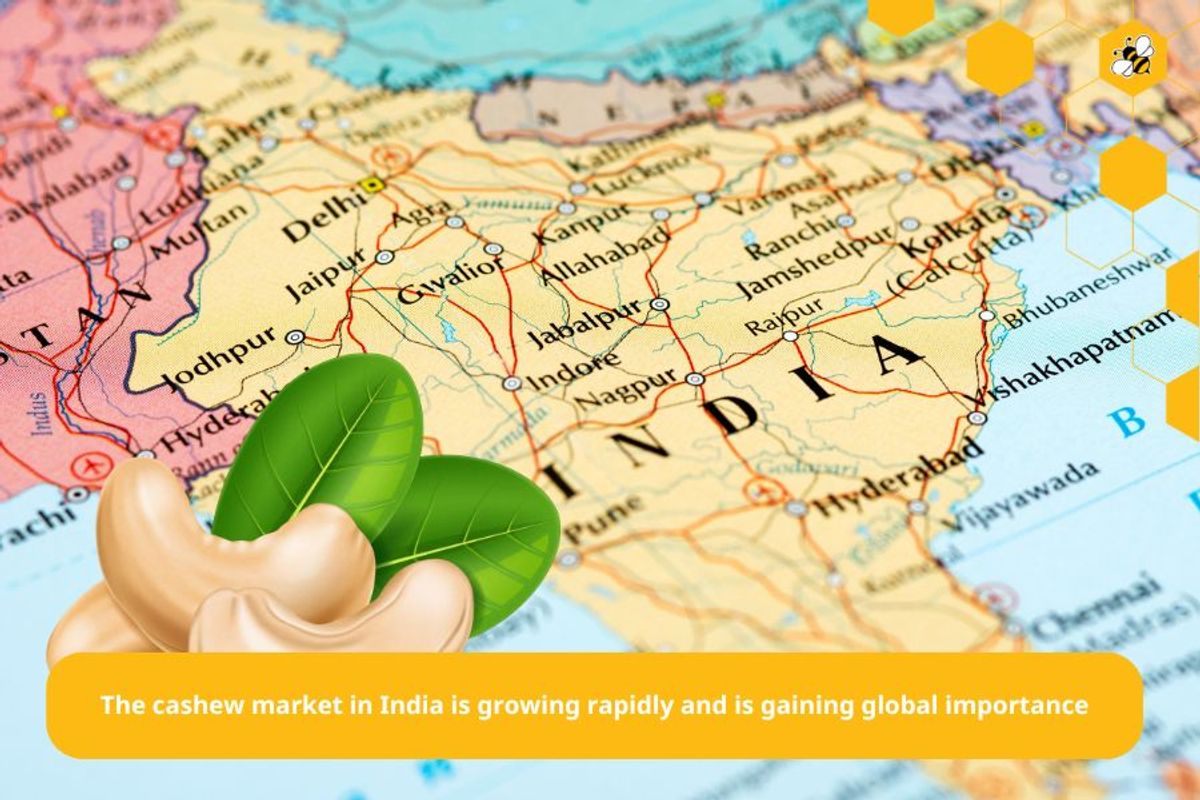 The cashew market in India is growing rapidly and is gaining global importance