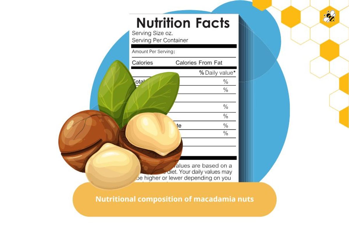 Nutritional composition of macadamia nuts