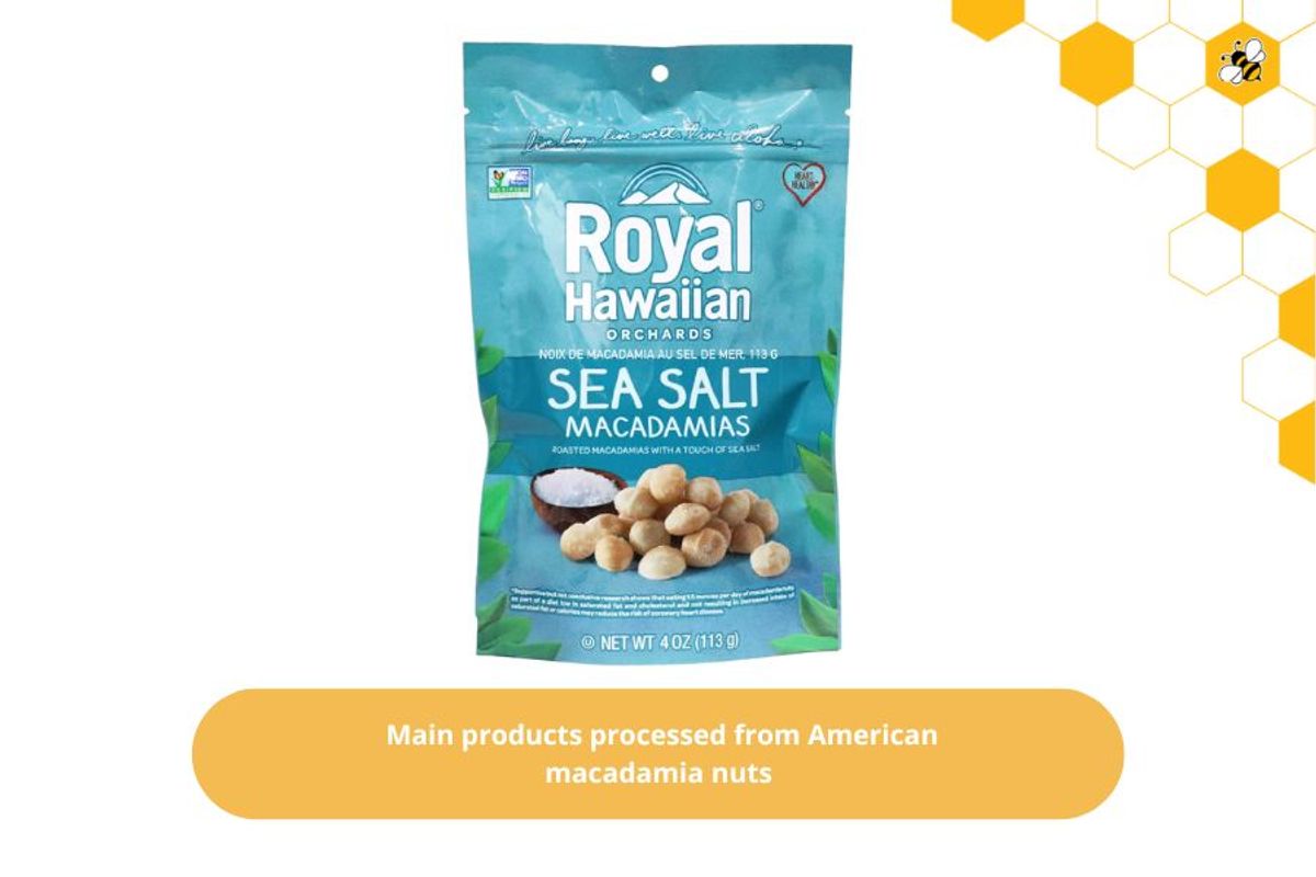 Main products processed from American macadamia nuts