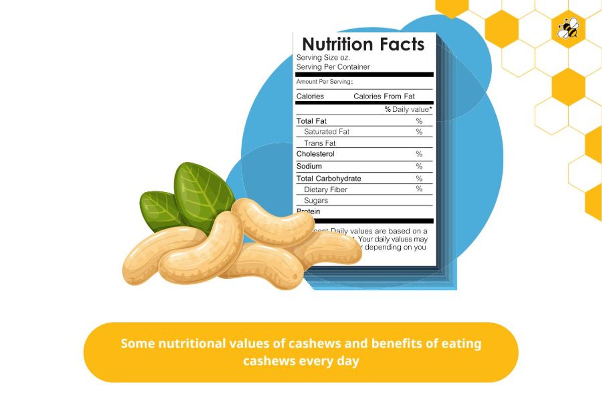 Some nutritional values of cashews and benefits of eating cashews every day