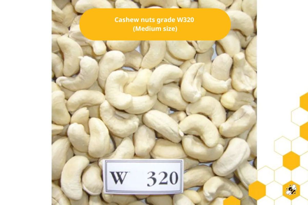 Cashew nuts grade W320  (Medium size)