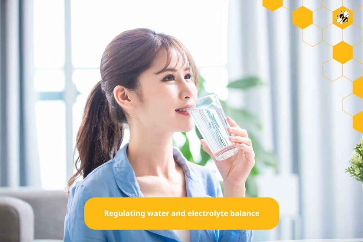 Regulating water and electrolyte balance