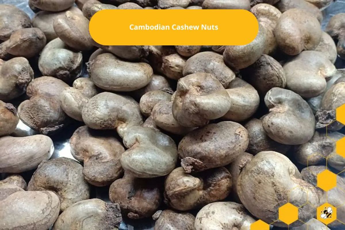 Cambodian Cashew Nuts