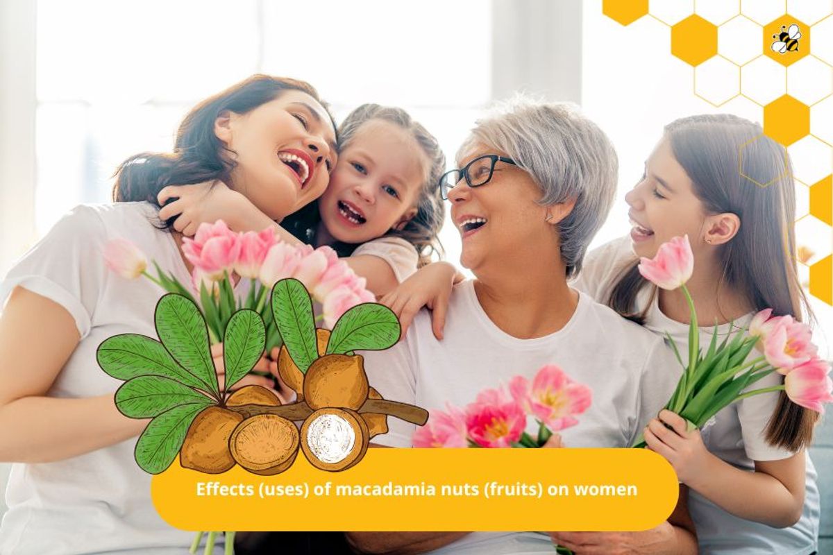 Effects (uses) of macadamia nuts (fruits) on women