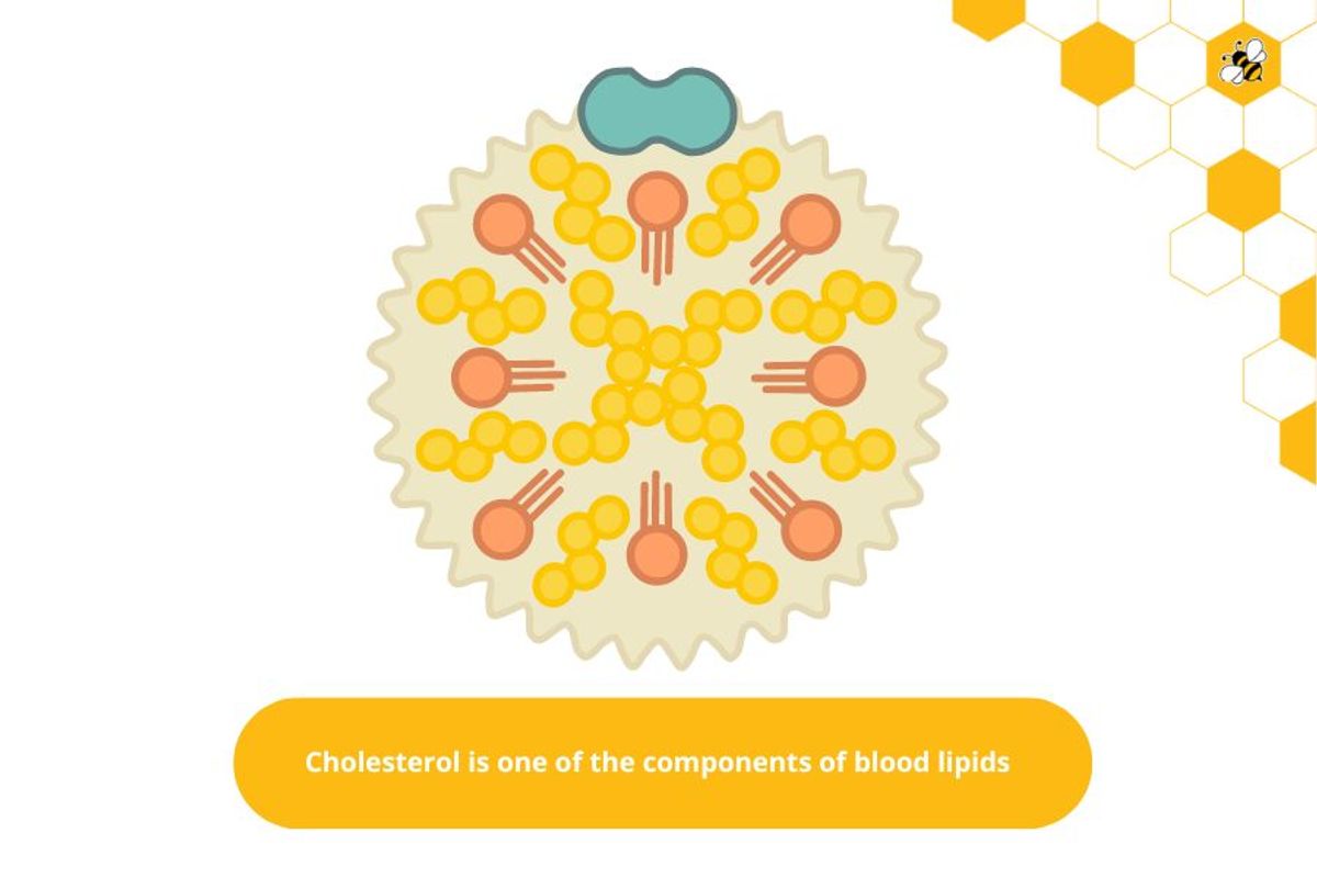 Cholesterol is one of the components of blood lipids