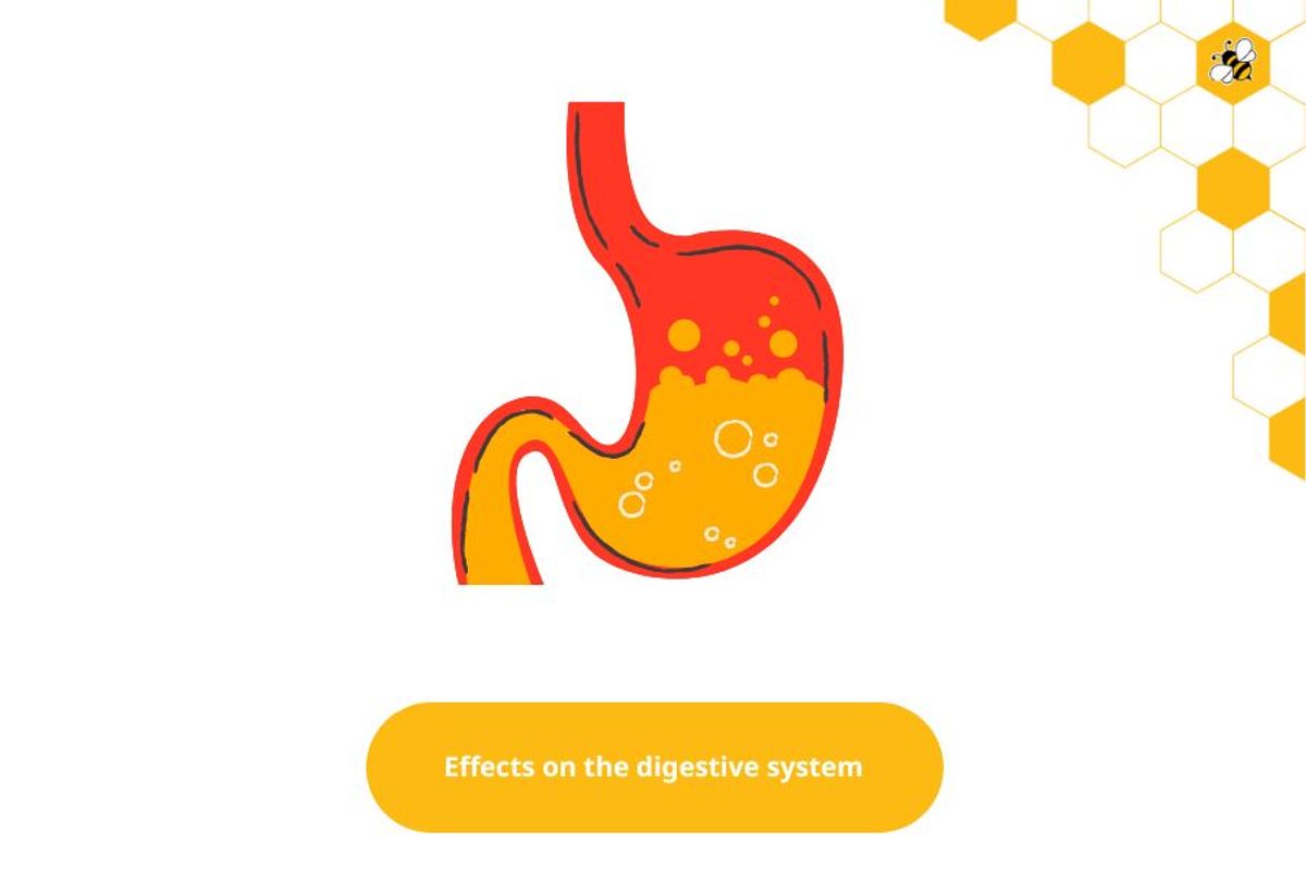 Effects on the digestive system