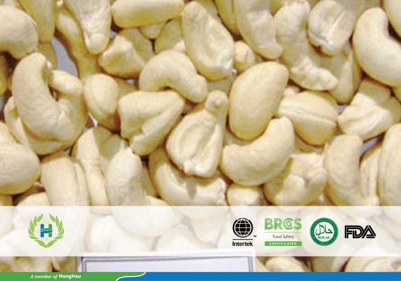 CASHEW NUT WW450