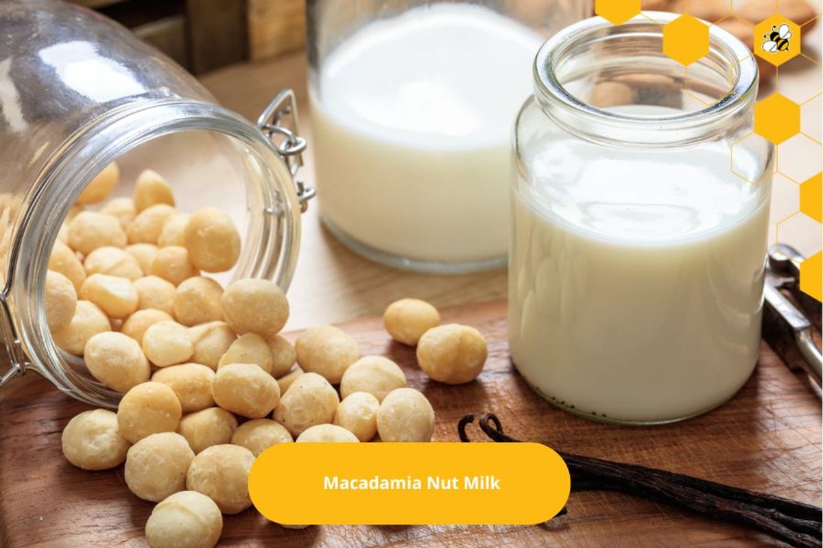 Macadamia Nut Milk