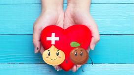 Effects (uses) (benefits) of macadamia nuts (fruits)