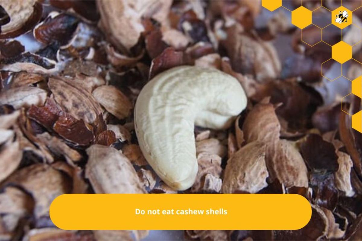 Do not eat cashew shells