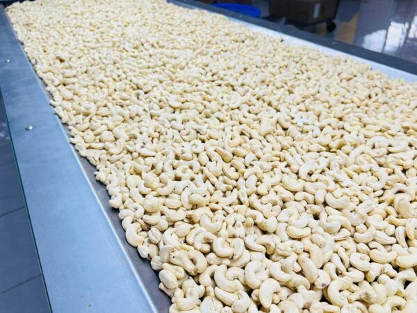 Raw whole cashew nuts 500g box