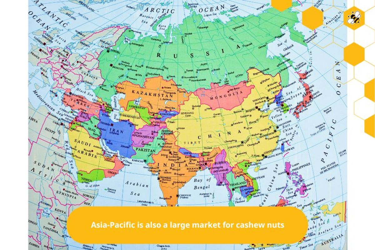 Asia-Pacific is also a large market for cashew nuts