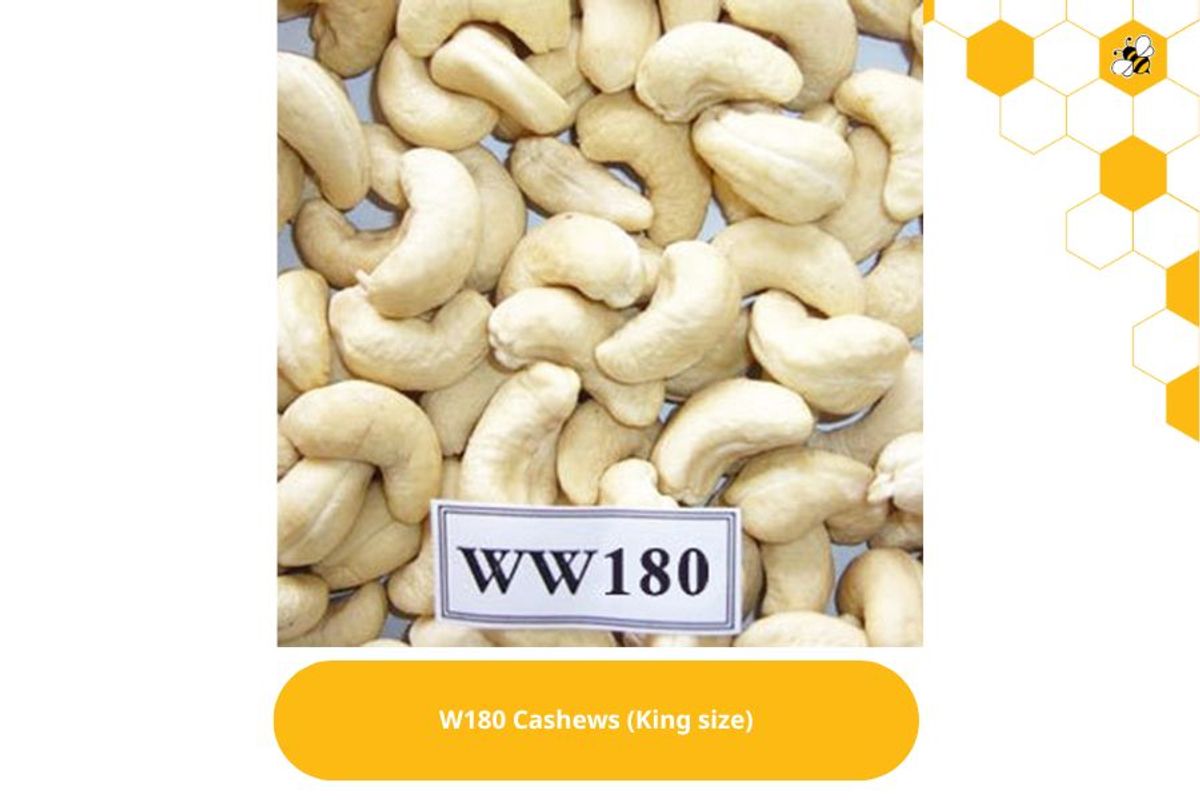 W180 Cashews (King size)