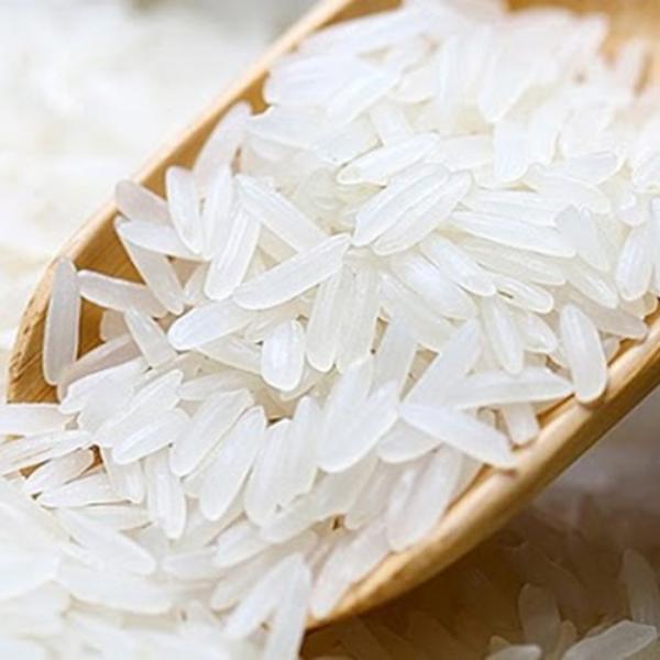 Fragrant Jasmine Rice