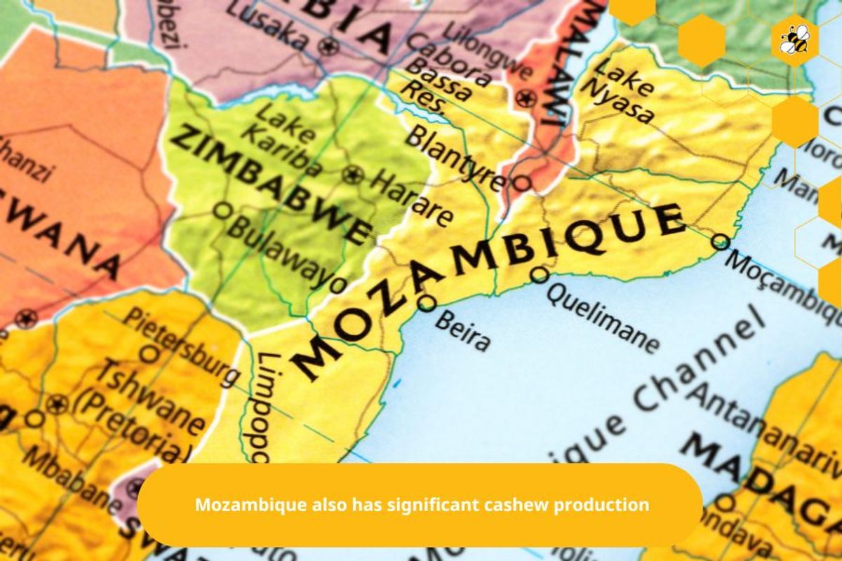 Mozambique also has significant cashew production