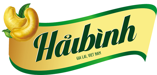 HAI BINH GIA LAI CASHEW JOINT STOCK COMPANY