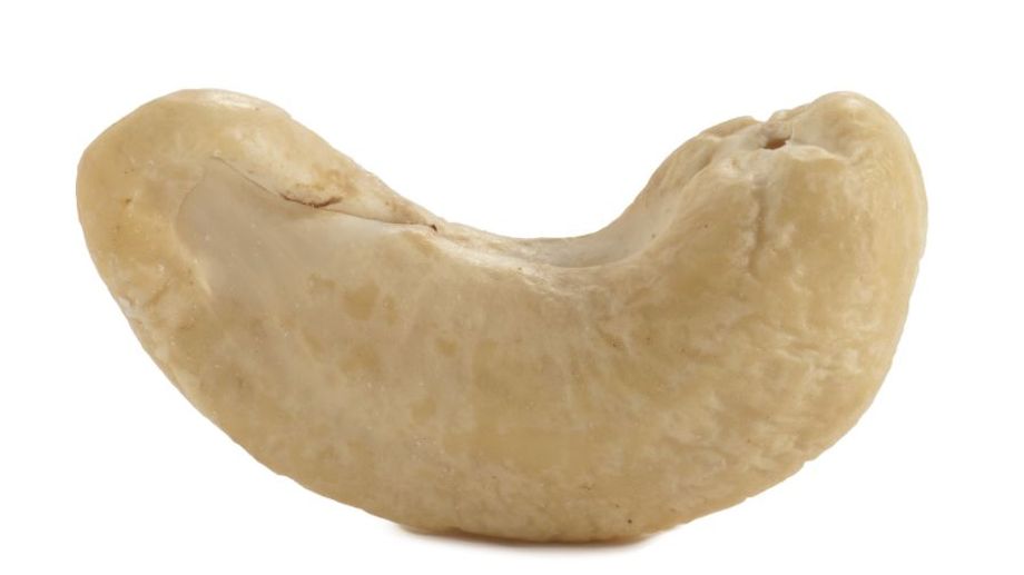 What do cashews look like? Characteristics of cashews