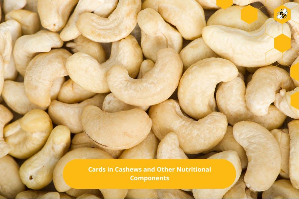 Cards in Cashews and Other Nutritional Components