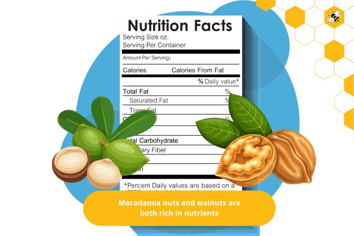 Macadamia nuts and walnuts are both rich in nutrients