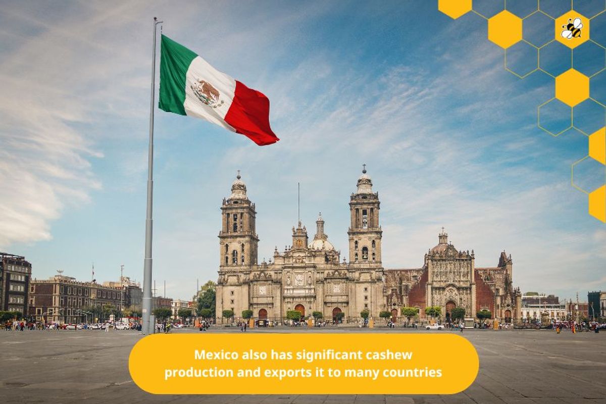 Mexico also has significant cashew production and exports it to many countries