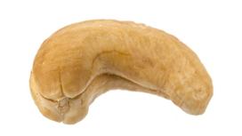 What is the largest size of cashew nut? What kind?