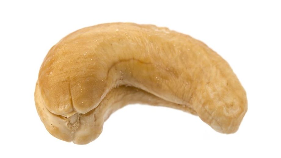 What is the largest size of cashew nut? What kind?