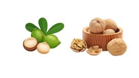 Macadamia nuts and walnuts - Which nut is better for nutrition?