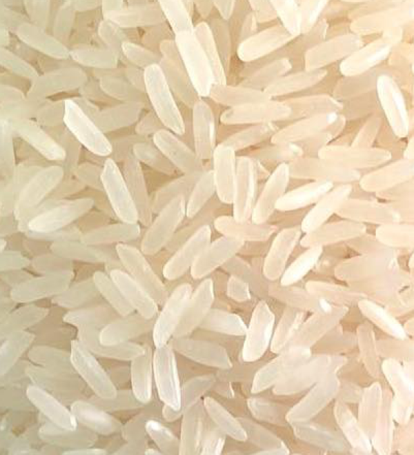 Vietnamese Jasmine Long Grain Fragrant Rice 5% Broken