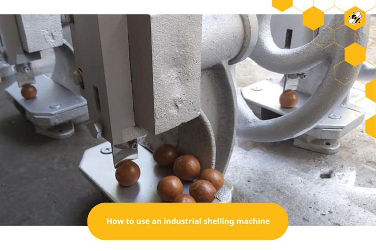 How to use an industrial shelling machine