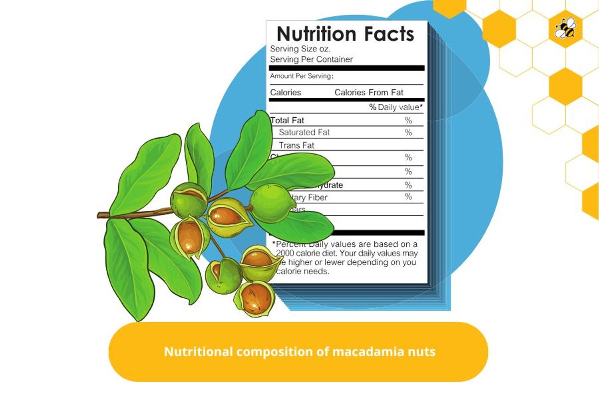 Nutritional composition of macadamia nuts