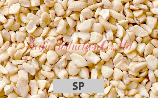 Vietnam Cashew Nut SP