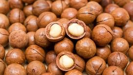 Why Vietnamese Macadamia Nuts Are the World’s New Favorite Superfood