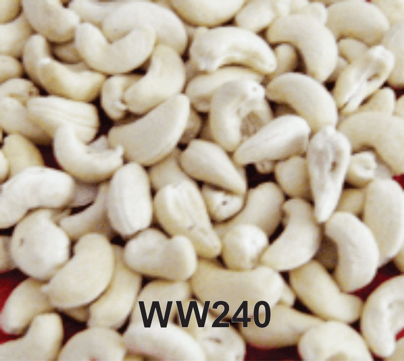 Raw Cashew Nuts - WW240 (Medium Size)