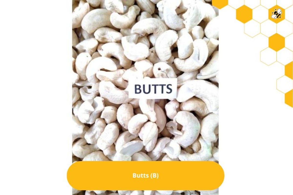 Butts (B)