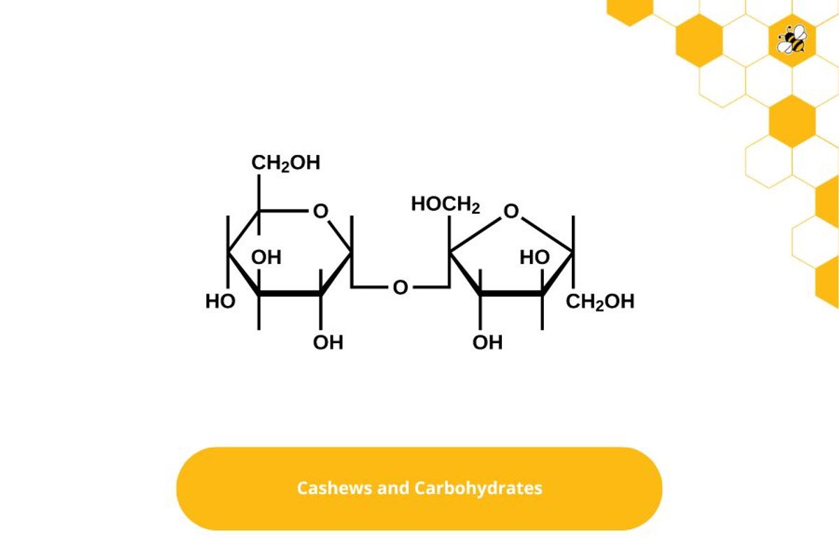 Cashews and Carbohydrates