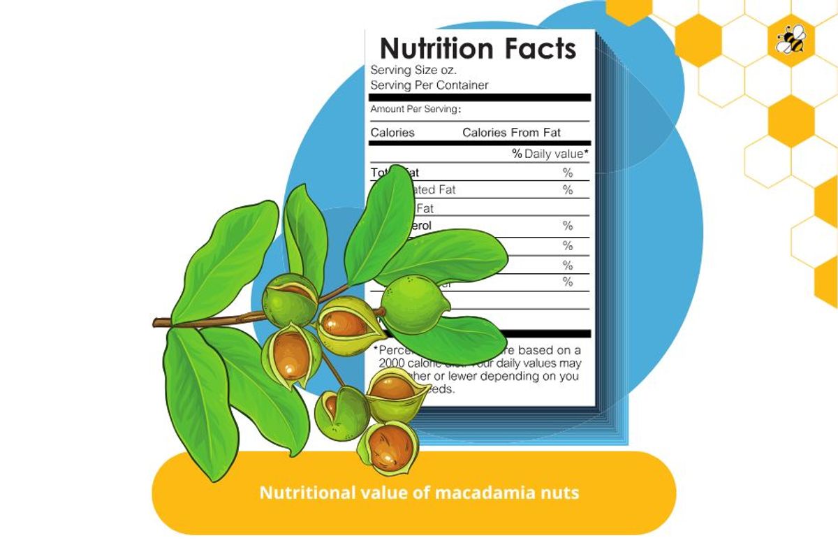 Nutritional value of macadamia nuts