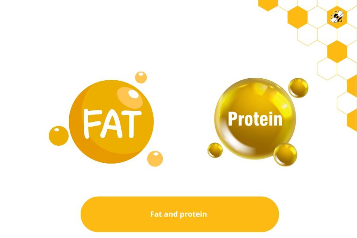 Fat and protein