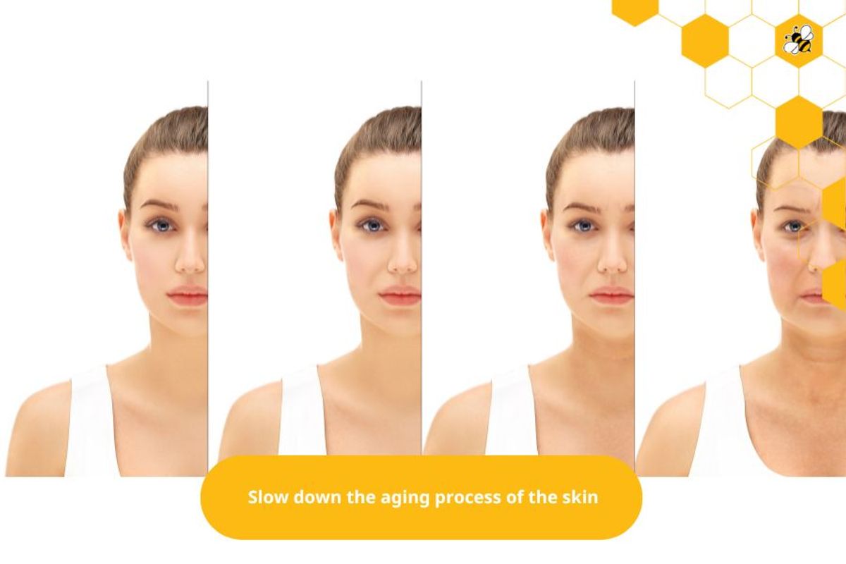 Slow down the aging process of the skin