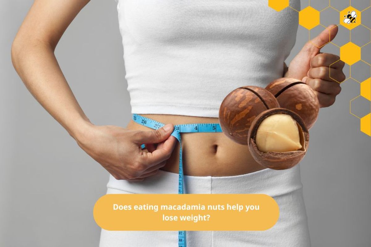 Does eating macadamia nuts help you lose weight?