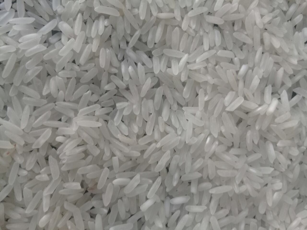 India White Rice Ir 64