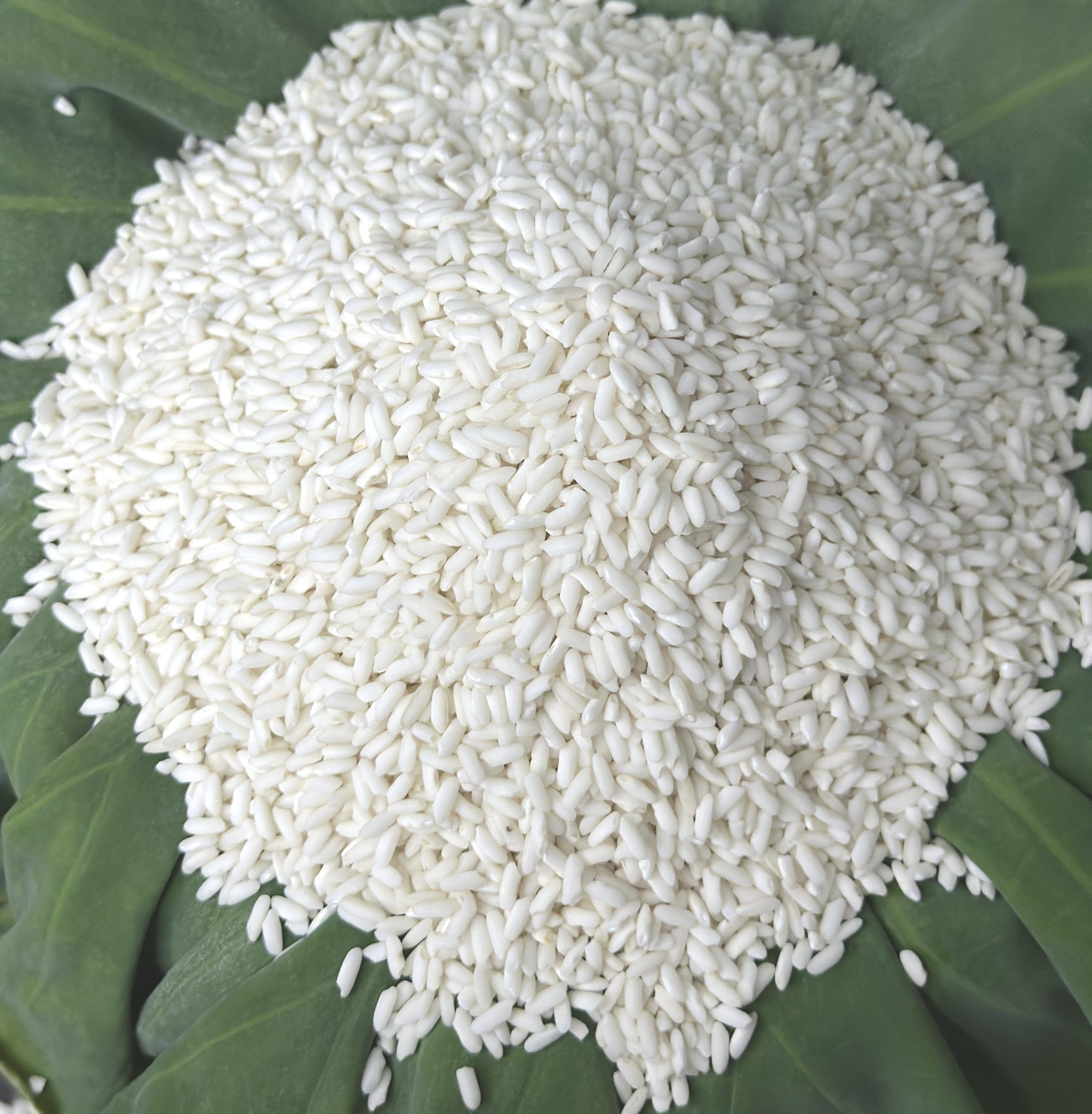 46 Glutinous Rice