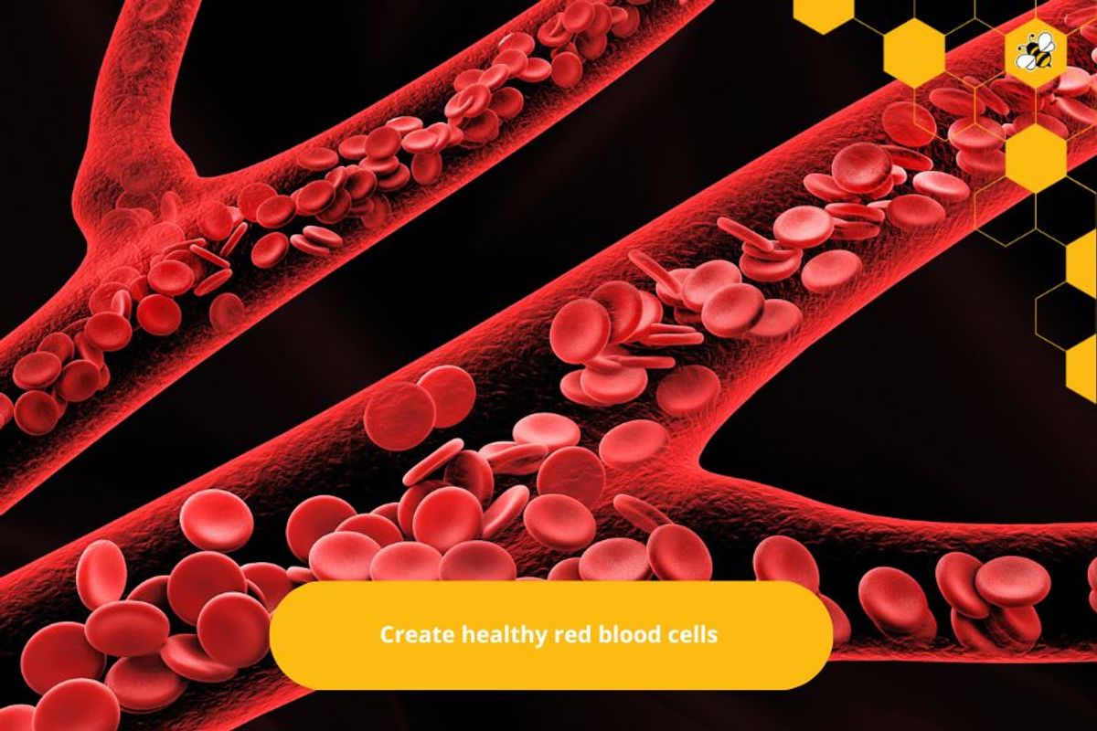 Create healthy red blood cells